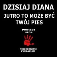 Awatar użytkownika