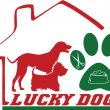 Hotel dla psów i Fryzjer dla psów LUCKY DOG