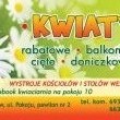 Kwiaty u Iwony ul .Pokoju 10