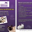 MAXIVET PRZCHODNIA WETERYNARYJNA