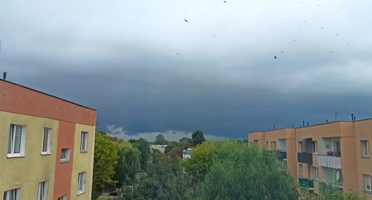 Pogoda , powiatu sochaczewskiego wystawiono alerty względu burze - zdjęcie, fotografia