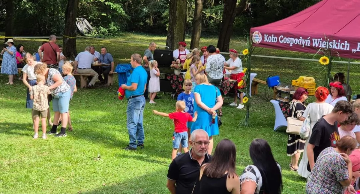 Inwestycje , Gmina Rybno Udany Piknik Rodzinny Cudze chwalicie swego znacie zorganizowany przez Babeczki Rybna czekało wiele atrakcji - zdjęcie, fotografia