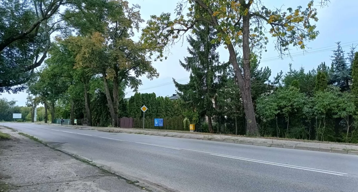 Inwestycje , droga kolejna wycinka oddychać - zdjęcie, fotografia
