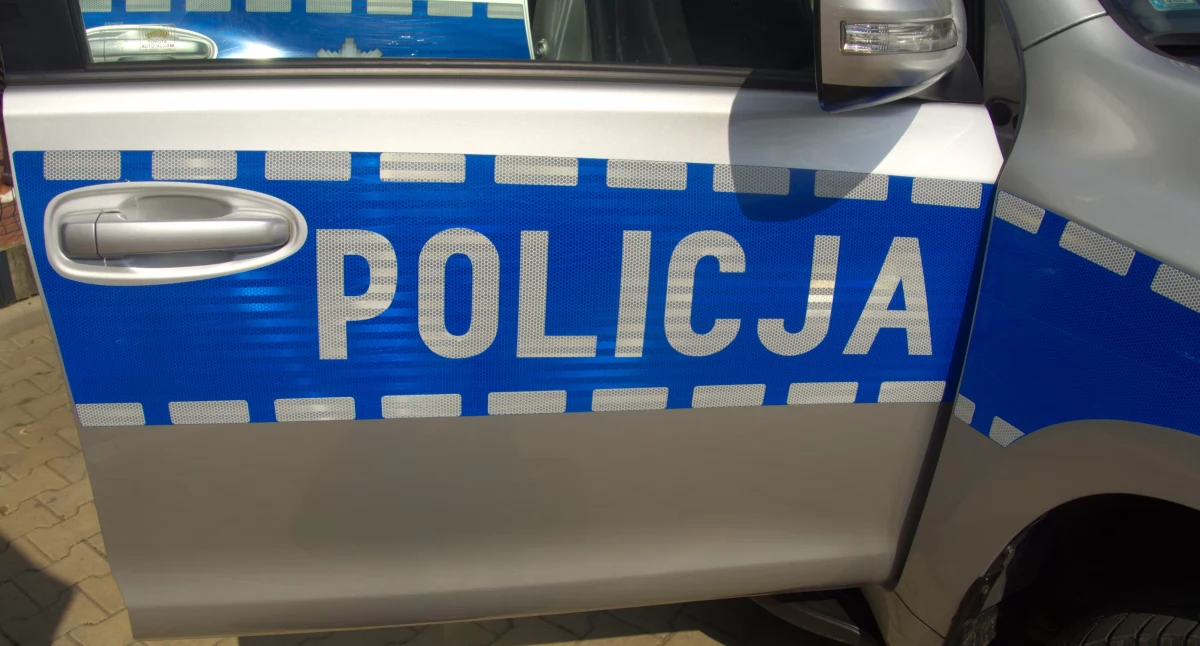 Kronika kryminalna, Sochaczewska policja Agresywny latek oszustwo wakacyjny - zdjęcie, fotografia