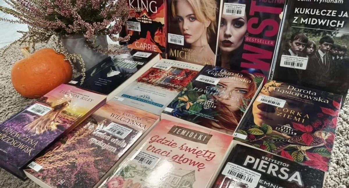 Edukacja - Szkoły, Kolejne zakupione nowości czytelnicze trafiły półki Gminnej Biblioteki Publicznej Rybnie zapraszamy czytelników wypożyczania - zdjęcie, fotografia