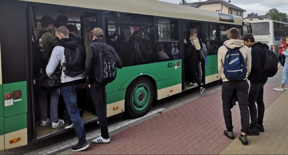 Komunikacja publiczna, Sochaczew kursowanie autobusów miejskich okresie Bożego Narodzenia Nowego - zdjęcie, fotografia