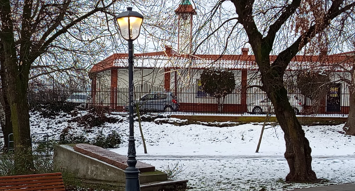 Radni i rady samorządowe, Doświetlają słońce parku - zdjęcie, fotografia
