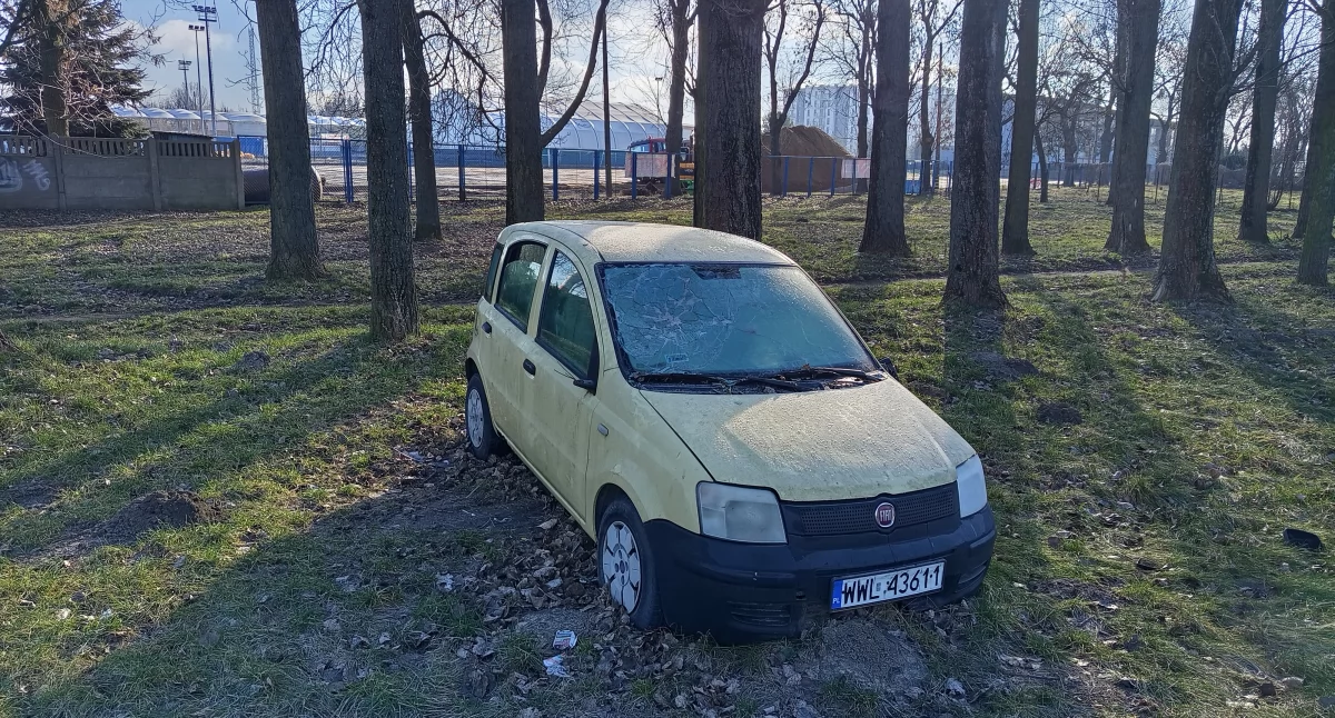Sprawy urzędowe, Wraków dostatek - zdjęcie, fotografia