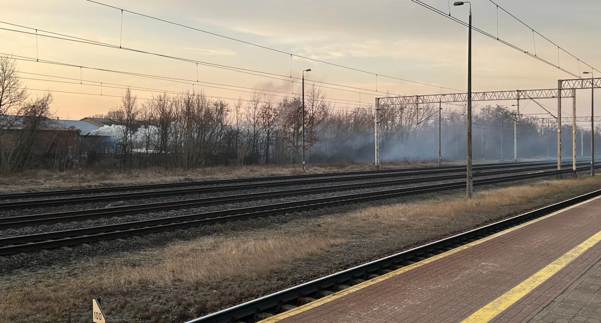 Interwencje i pomoc , sochaczewskimi peronami - zdjęcie, fotografia