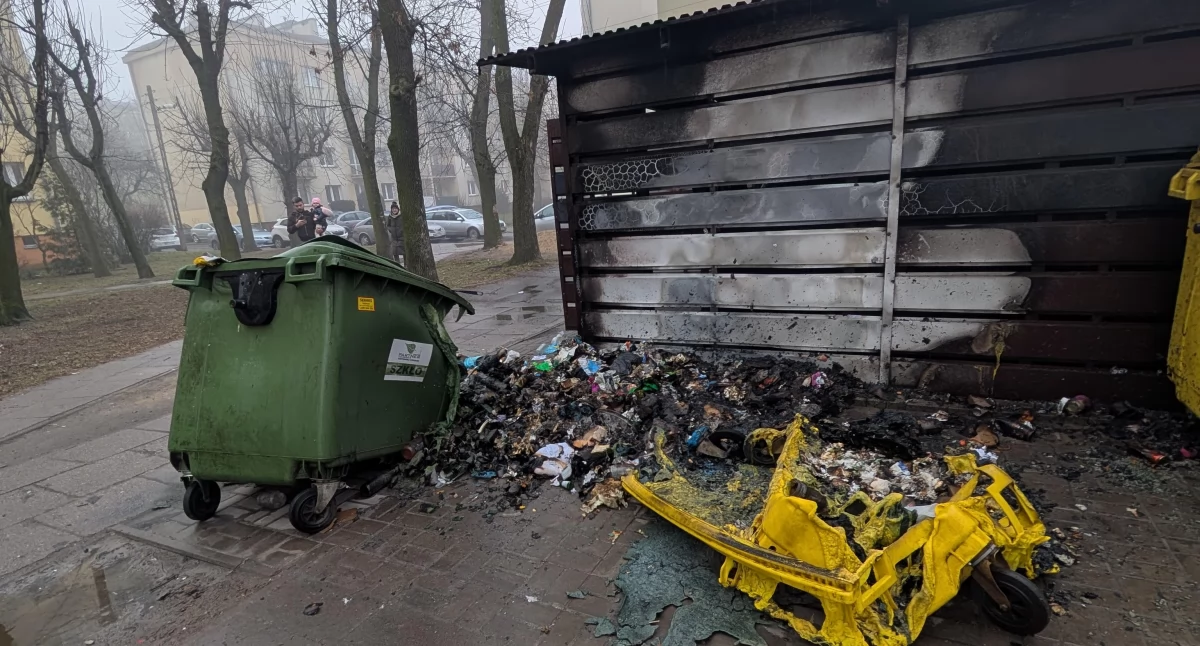 Zdjęcie nadesłane przez czytelniczkę