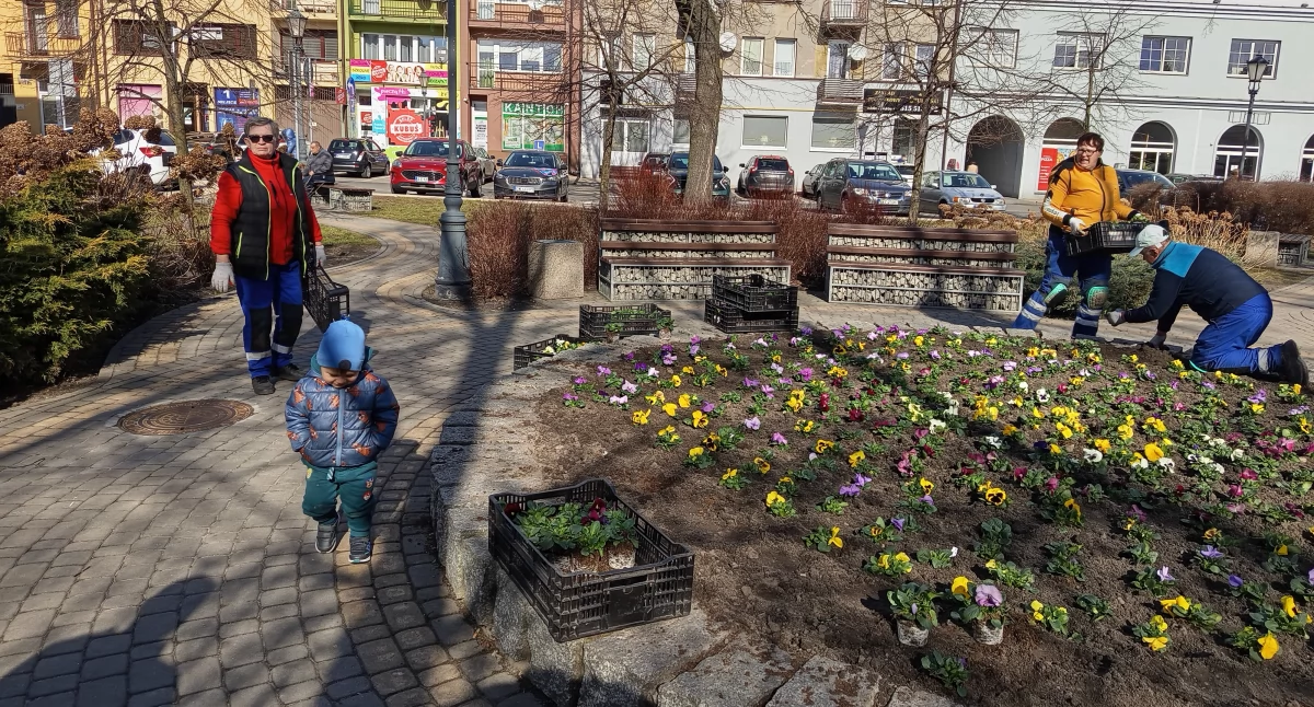 Atrakcje - Ciekawostki - Rekreacja, zrobiło jaśniej przyjemniej - zdjęcie, fotografia