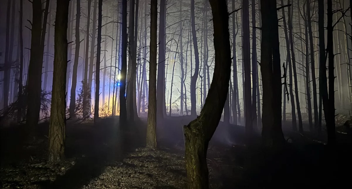 Zdjęcie: OSP KSRG Wólka Smolana