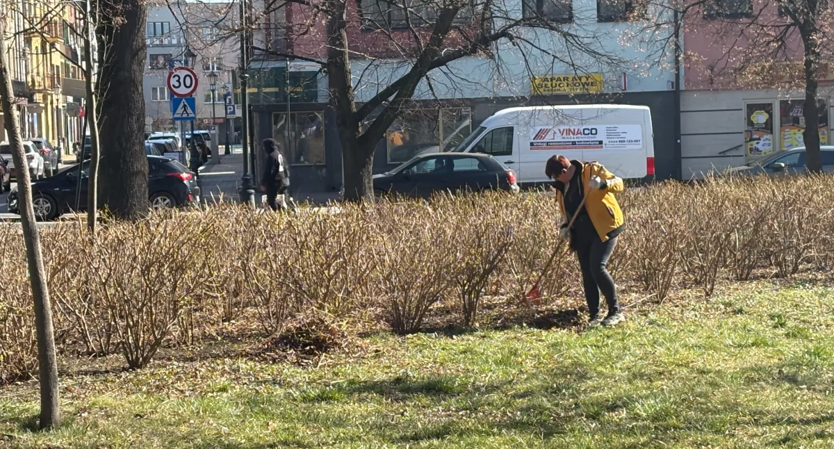 Sprawy urzędowe, Miasto porządki Wiosna Sochaczewie - zdjęcie, fotografia