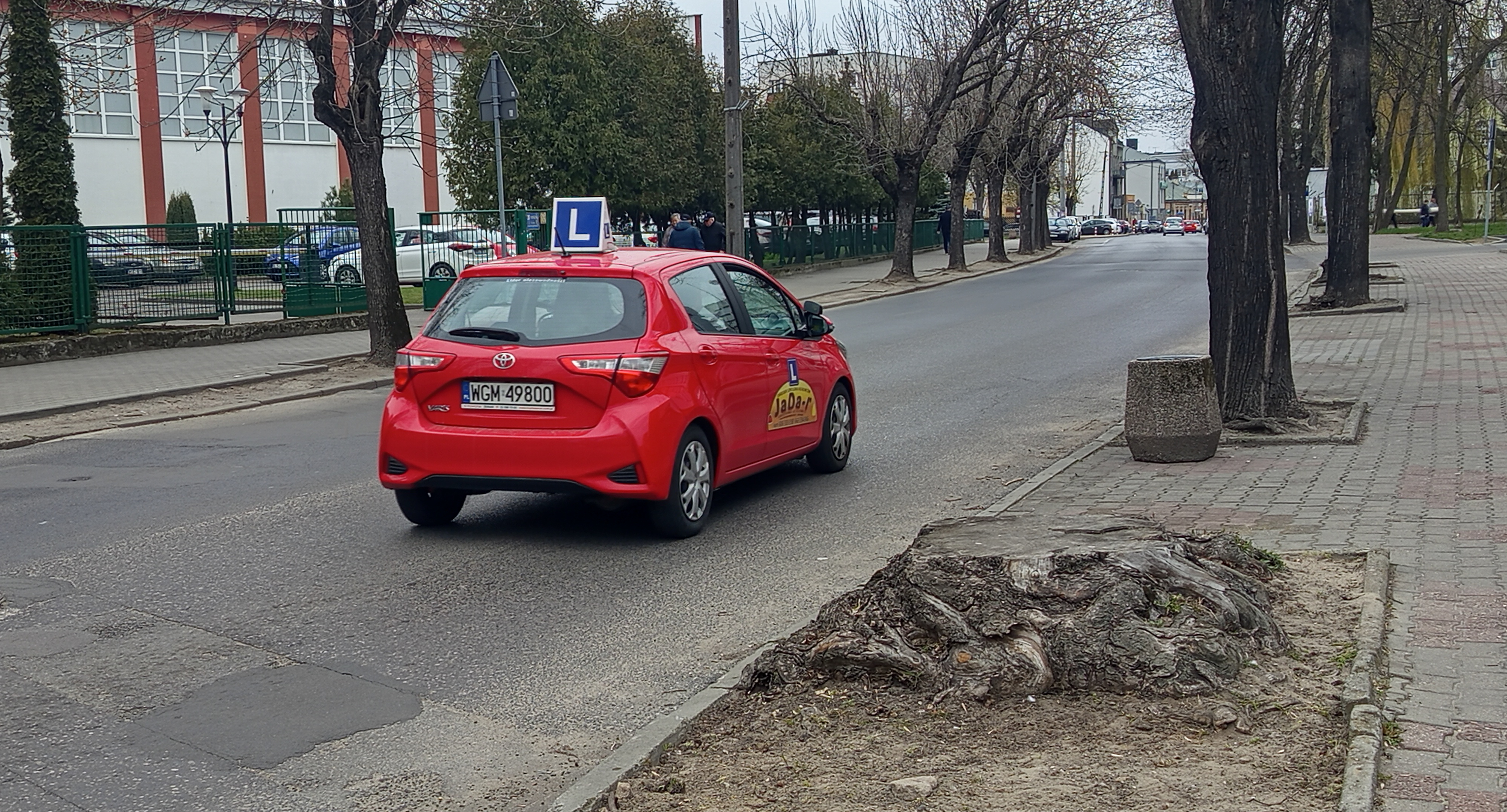 Sprawy urzędowe, Czterdzieści sochaczewskich drzew imionami mieszkańców - zdjęcie, fotografia