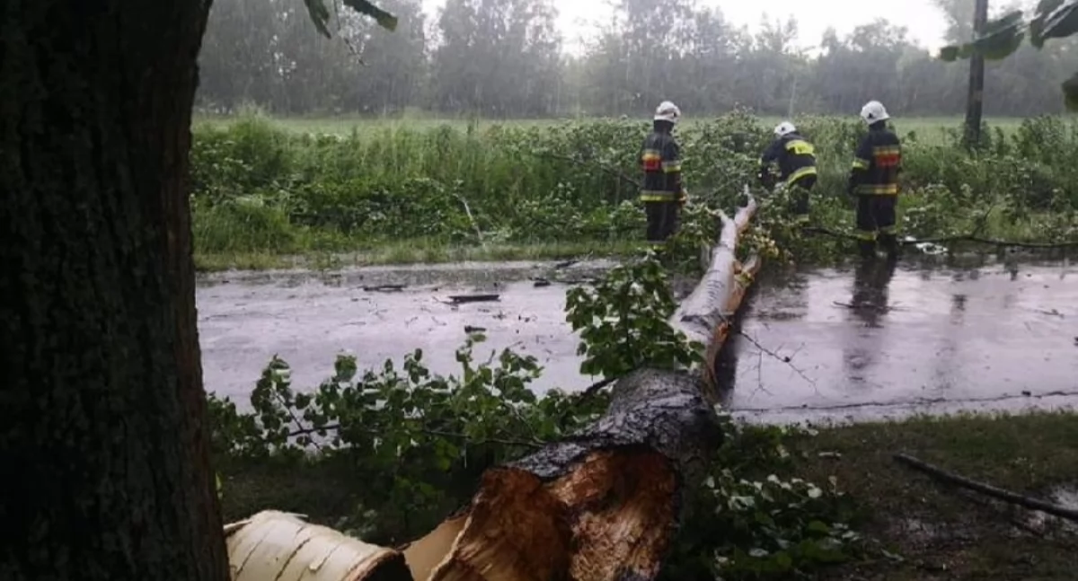 Pogoda , Wielkie burze nadchodzą koniec majówki Sochaczewie - zdjęcie, fotografia