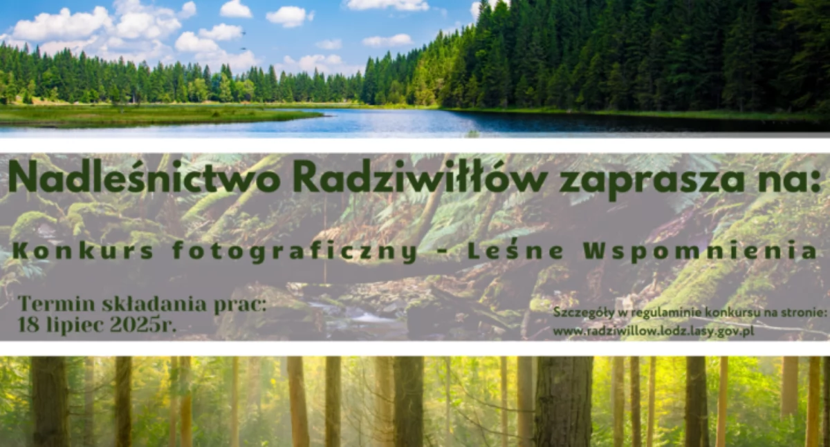 Konkursy - Plebiscyty, Konkurs fotograficzny „Leśne Wspomnienia” - zdjęcie, fotografia