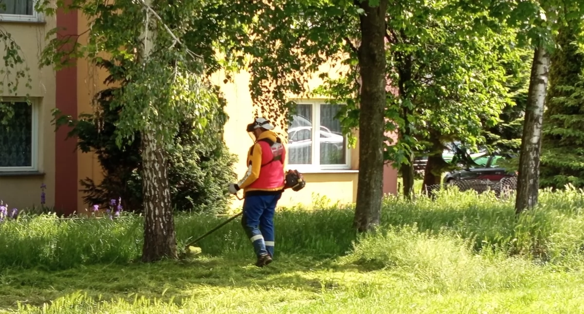 Sprawy urzędowe, Sianokosy Sochaczewie rozpoczęte - zdjęcie, fotografia