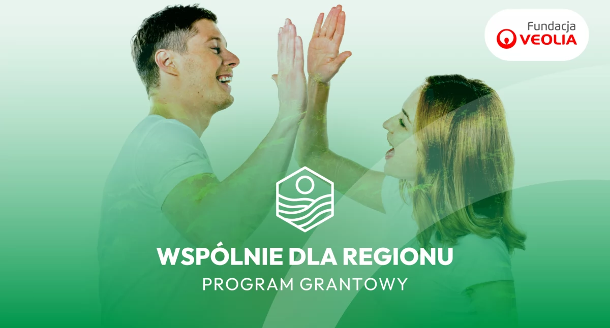 Inwestycje , program grantowy „Wspólnie Regionu” - zdjęcie, fotografia