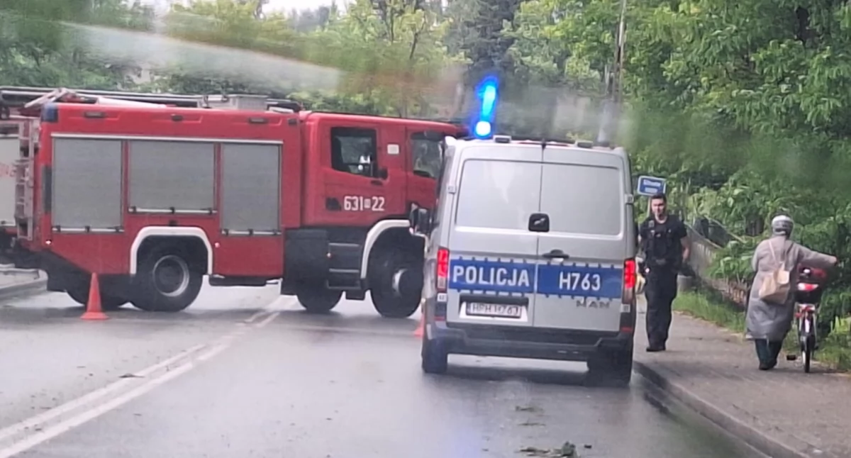 Pożary straż pożarna, Wichura Sochaczewie lecia zablokowana - zdjęcie, fotografia