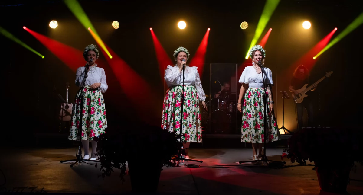 Koncerty - Muzyka, Sochaczewa folkowy wieczór - zdjęcie, fotografia