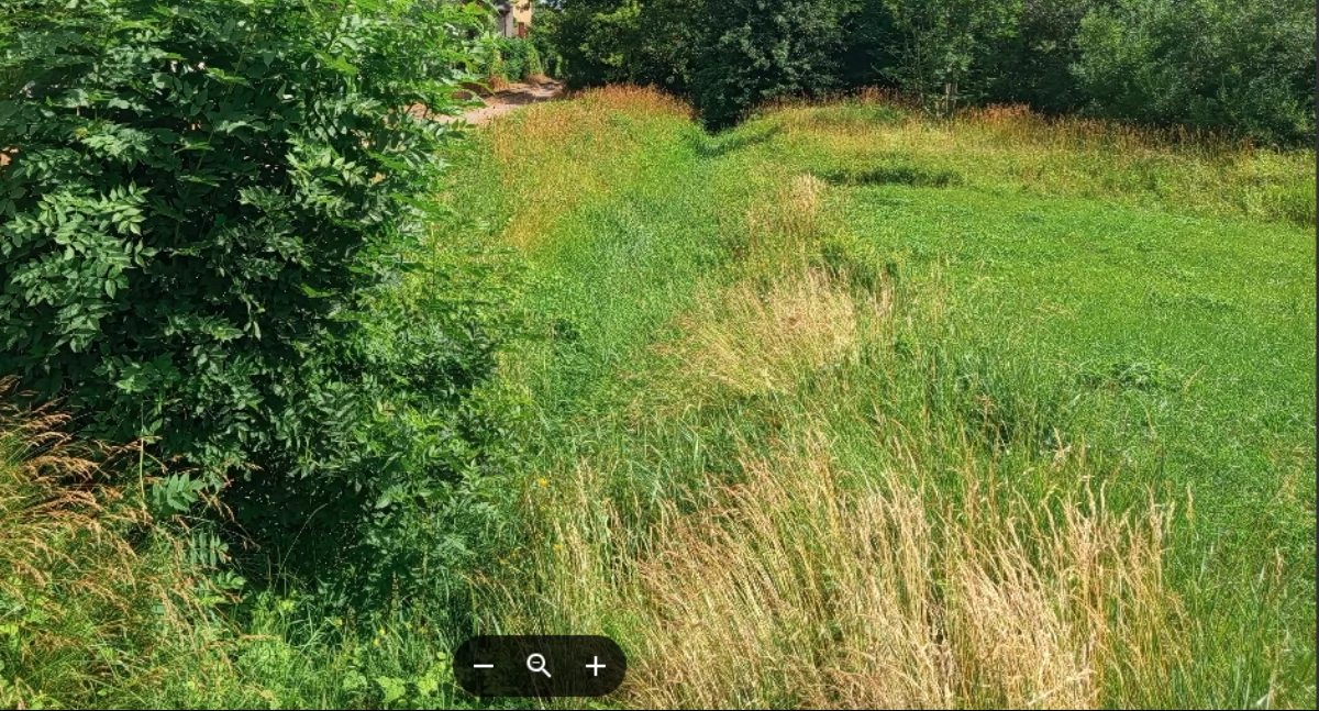 Sprawy urzędowe, Wielkie czyszczenie rowów Teresinie Mazowsze sypnęło kasą - zdjęcie, fotografia