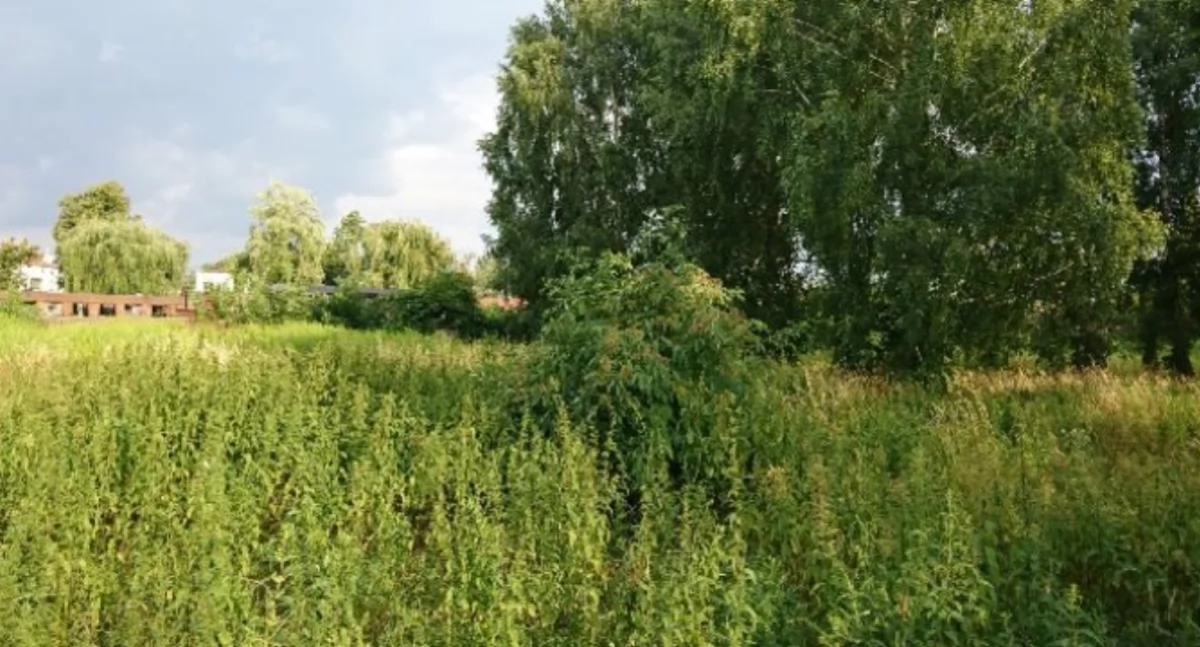 Sprawy urzędowe, Sochaczew pozbywa kolejnych nieruchomości razem działek budowlanych - zdjęcie, fotografia