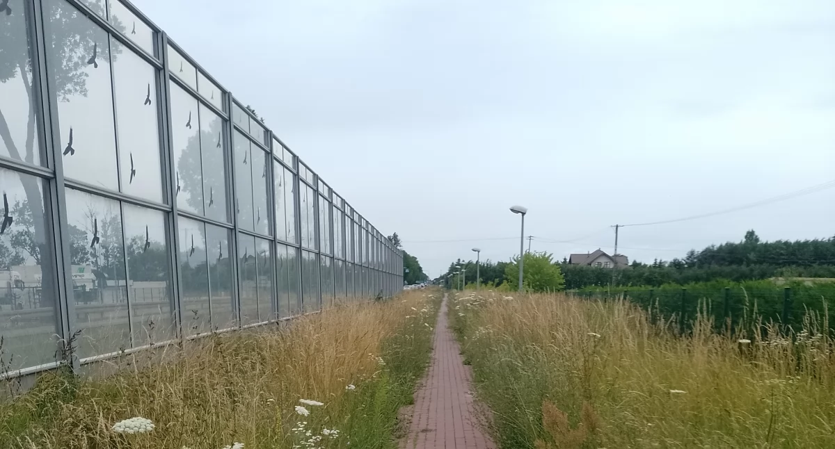 Sprawy urzędowe, Mieszkańcy pytają wykosi trawę wzdłuż dróg gminie Sochaczew - zdjęcie, fotografia