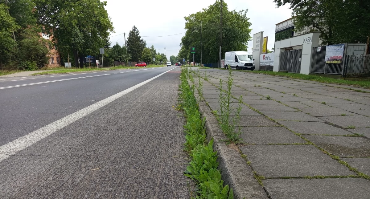 Interwencje i pomoc , Ulice Sochaczewa zarastają trawą posprząta - zdjęcie, fotografia