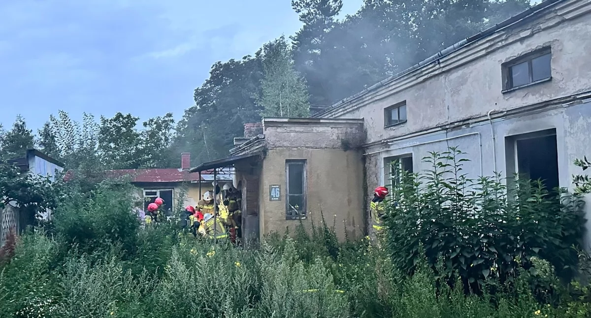 OSP Niepokalanów