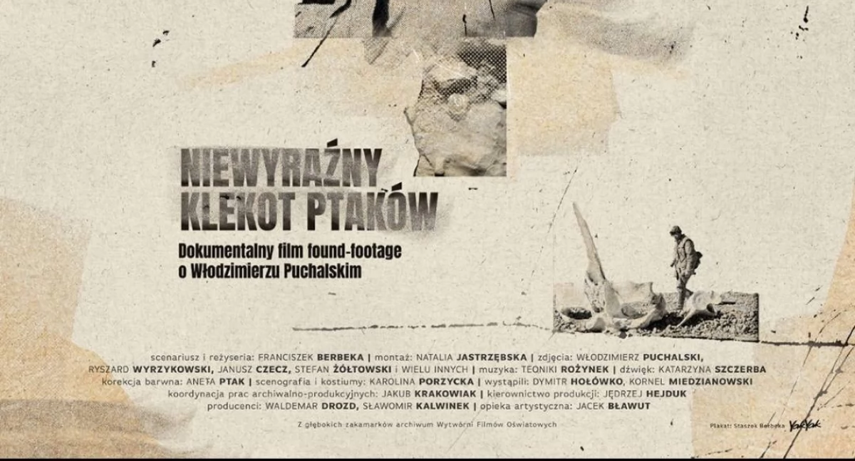 Atrakcje - Ciekawostki - Rekreacja, Filmowy pokaz sercu Puszczy Kampinoskiej - zdjęcie, fotografia