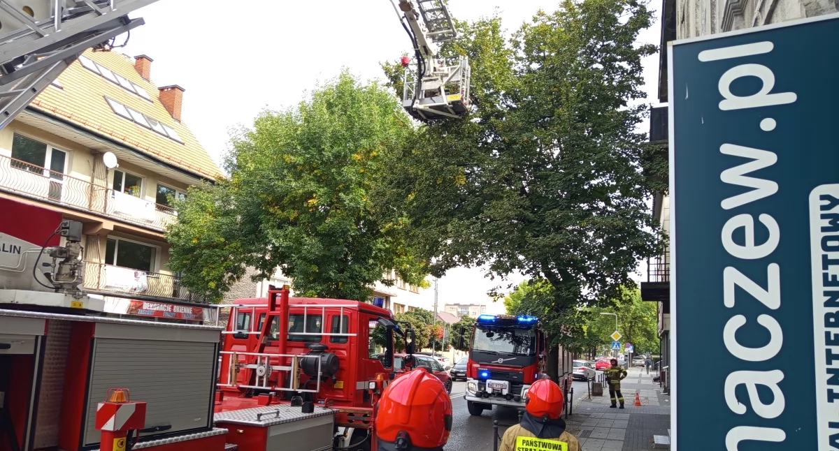 Pożary straż pożarna, Sochaczewscy strażacy niecodziennej akcji ratowanie centrum miasta - zdjęcie, fotografia