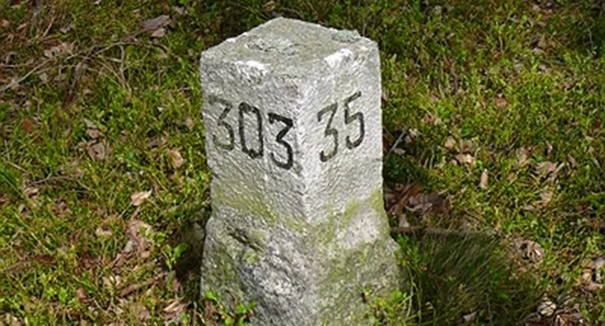 Lasy Państwowe