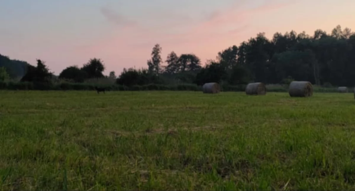 Konkursy - Plebiscyty, Olimpiada Wiedzy Rolniczej Sochaczewie ruszają zapisy! - zdjęcie, fotografia