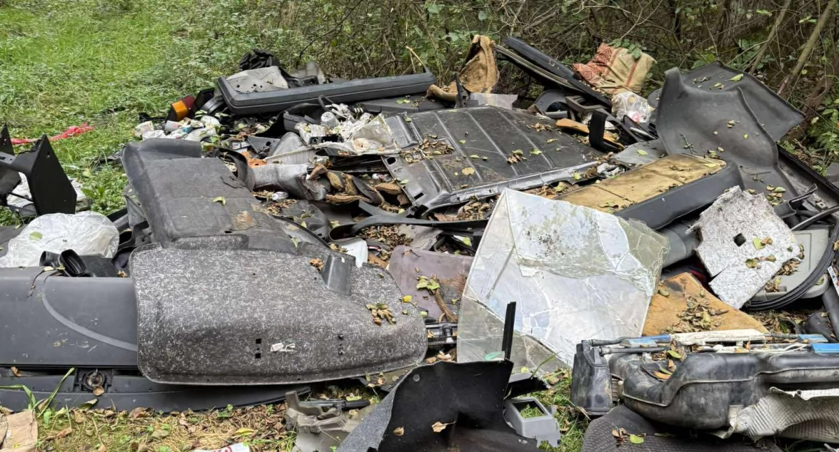 Interwencje i pomoc , Śmieci lesie kolejny odpady trafiły Puszczy Kampinoskiej - zdjęcie, fotografia