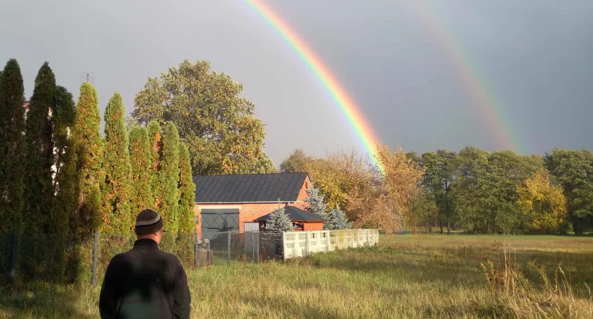 Rolnictwo i leśnictwo, zabezpieczyć rośliny zimę praktyczne porady ogrodników - zdjęcie, fotografia