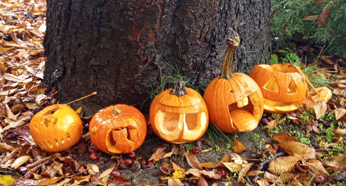 Interwencje i pomoc , Halloween Sochaczewie zabawa wymknęła kontroli - zdjęcie, fotografia