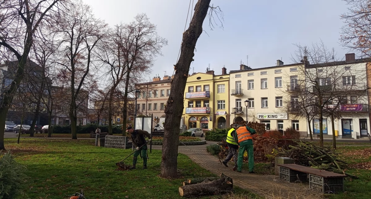 Interwencje i pomoc , Lepiej późno wcale śladem naszych interwencji - zdjęcie, fotografia