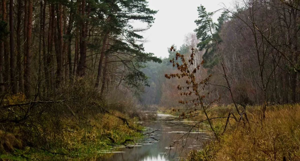 Fot. Paweł Orzechowski 