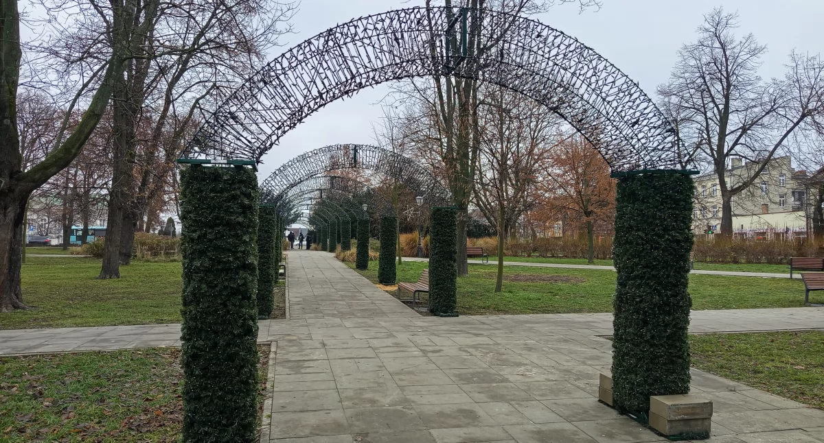 Święta i obchody, Chopina Sochaczewie rozbłyśnie magią świąt - zdjęcie, fotografia