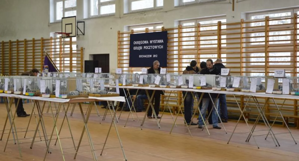Atrakcje - Ciekawostki - Rekreacja, Atrakcje weekend stycznia Sochaczew okolice - zdjęcie, fotografia