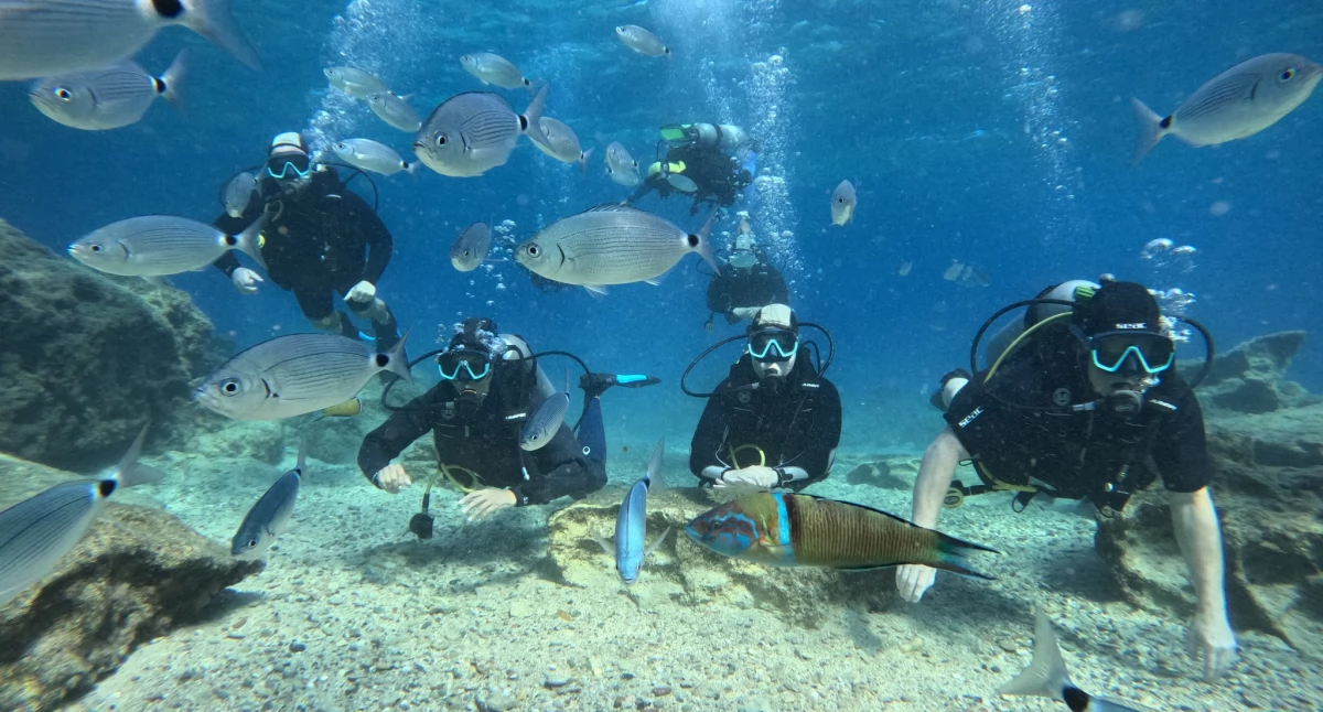 Konkursy - Plebiscyty, Wygraj VOUCHER nurkowanie Cyprze! DIVERS CYPRUS - zdjęcie, fotografia