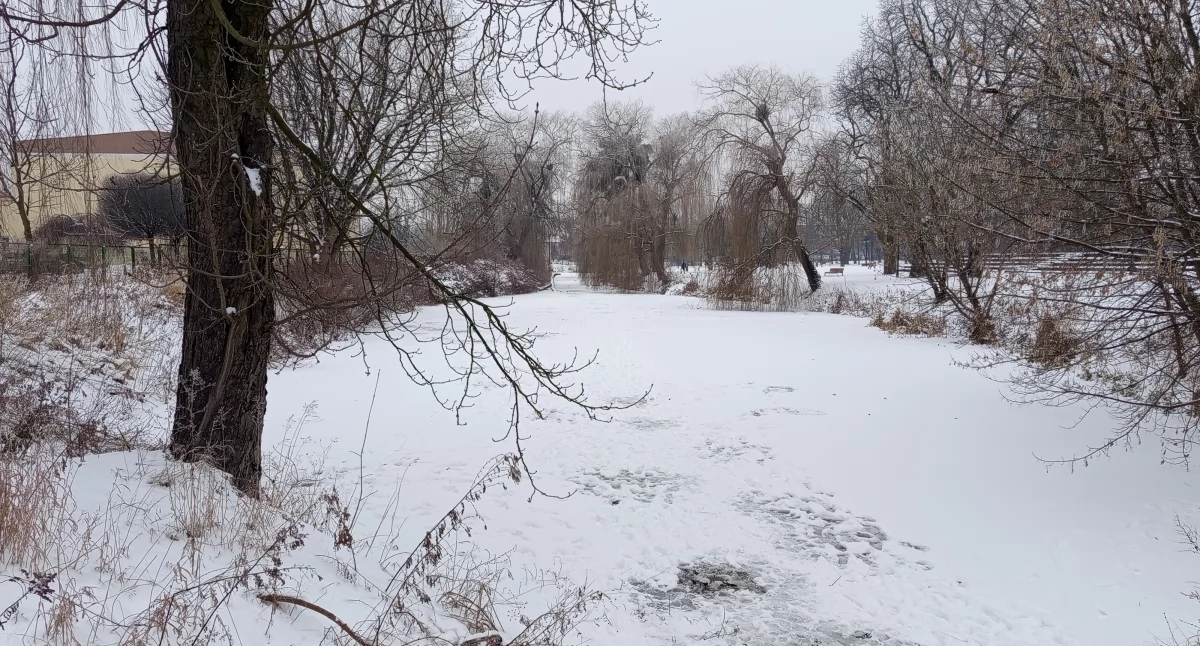 Interwencje i pomoc , Szambo fontanną parku Garbolewskiego - zdjęcie, fotografia