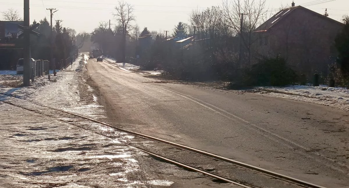 Interwencje i pomoc , Wycinka wstrzymana śladem naszych interwencji - zdjęcie, fotografia