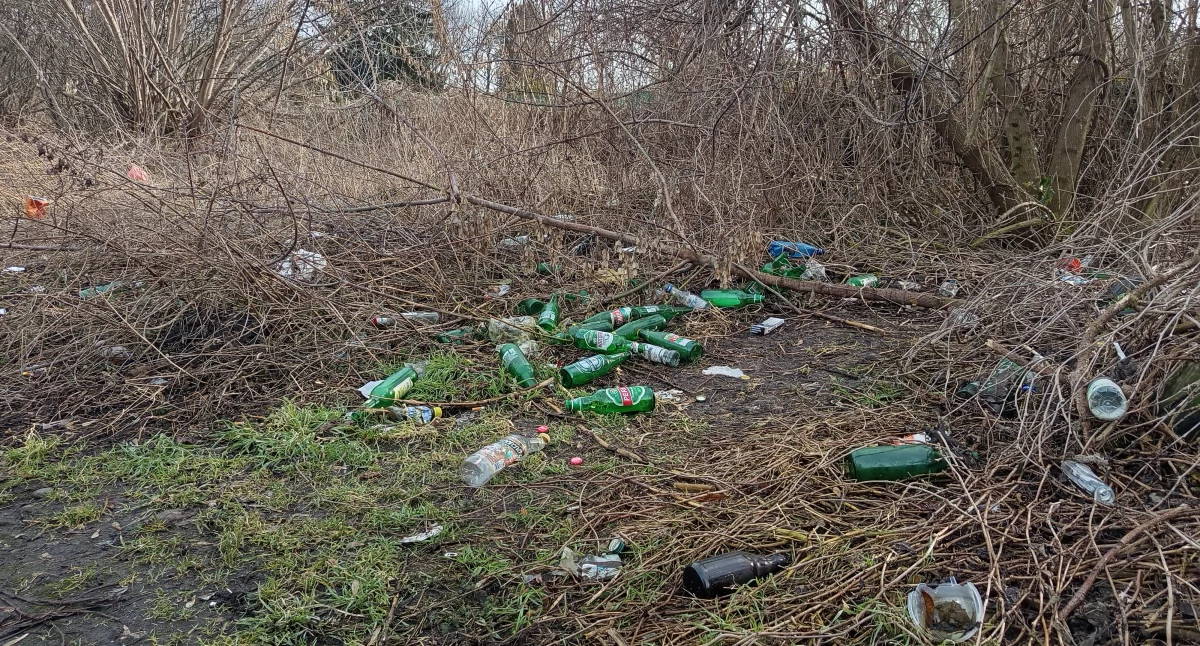Interwencje i pomoc , Wysypisko wzdłuż torów sochaczewskiej wąskotorówki posprząta zimie - zdjęcie, fotografia