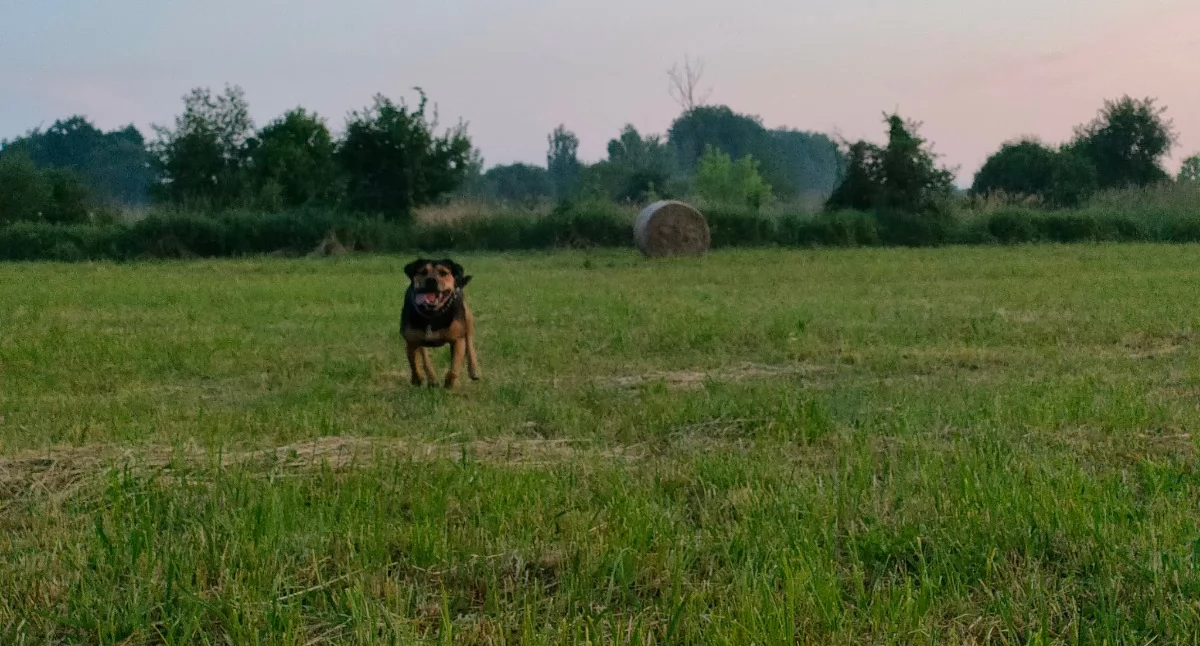 Atrakcje - Ciekawostki - Rekreacja, Gdzie spacer Sochaczewie okolicach - zdjęcie, fotografia