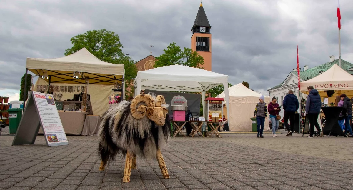 Atrakcje - Ciekawostki - Rekreacja, Sochaczew zagościł regionalne smaki tradycje trzydniowym festiwalu - zdjęcie, fotografia