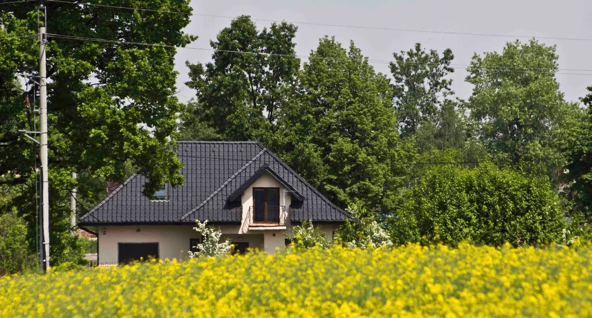 Fot. Paweł Orzechowski