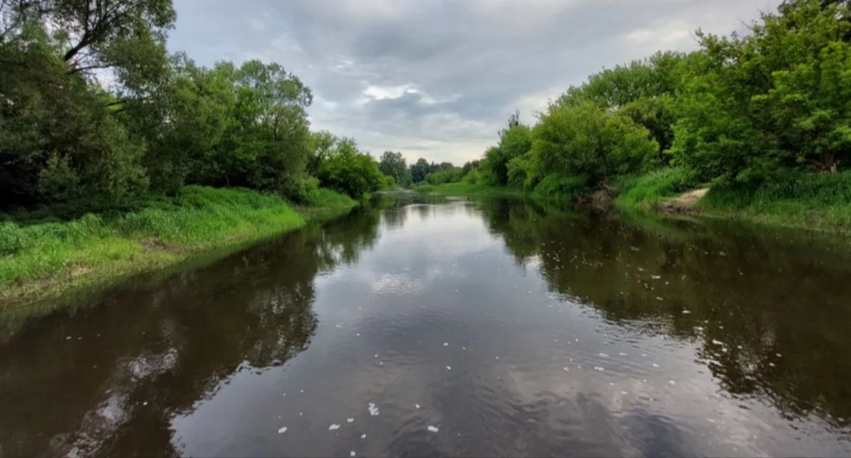 Pożary straż pożarna, Skoczył Bzury nocna akcja ratunkowa Sochaczewie - zdjęcie, fotografia