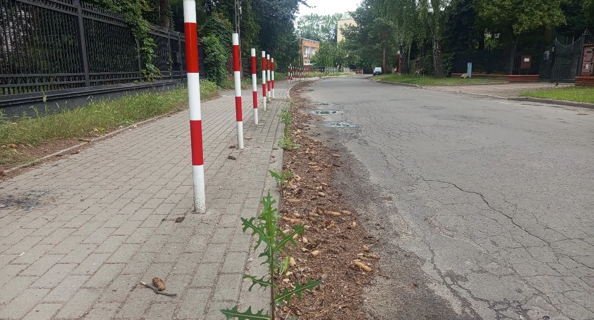 Interwencje i pomoc , Czyżby miejskim służbom Sochaczewie zabrakło mioteł łopat - zdjęcie, fotografia
