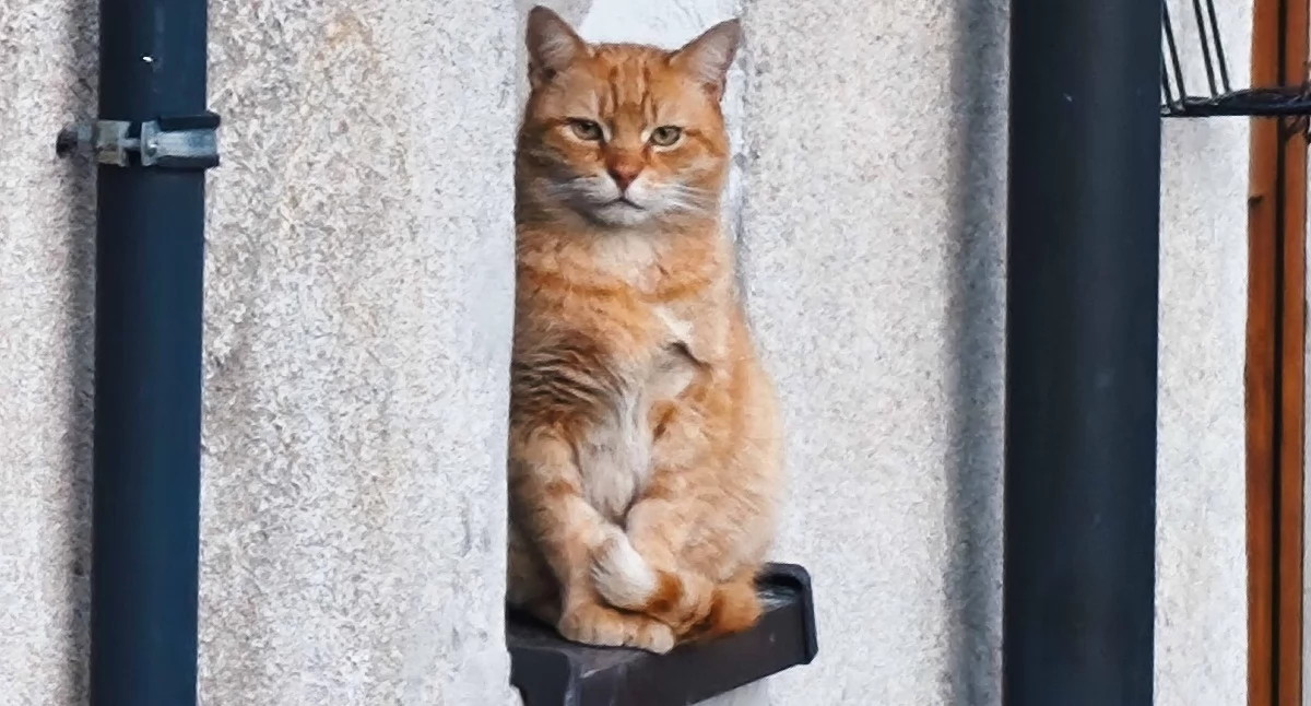 Fot. Paweł Orzechowski